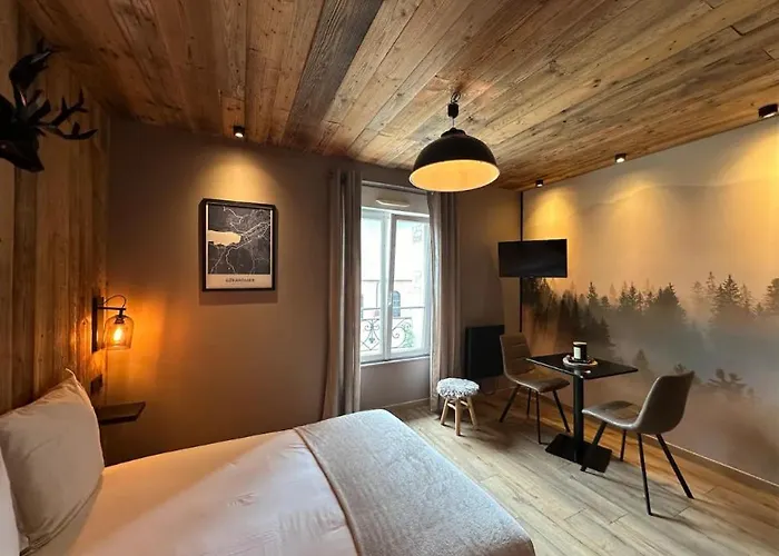 Studio Facon Chalet Montagnard - Hyper Centre